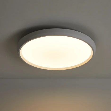 Потолочный светильник светодиодный Freya Obelle FR6211CL-L24W Obelle 24Вт LED