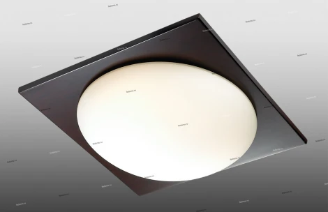 Настенно-потолочный светильник Odeon Light Brido 2763/2C