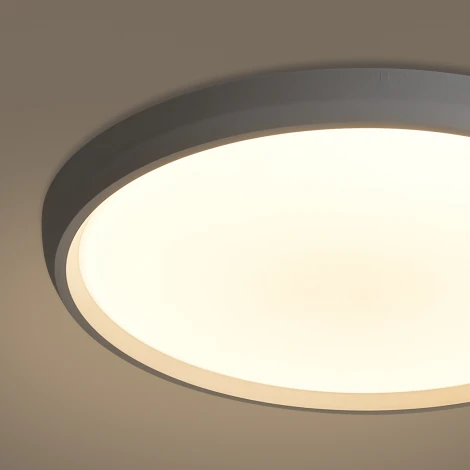 Потолочный светильник светодиодный Freya Obelle FR6211CL-L24W Obelle 24Вт LED