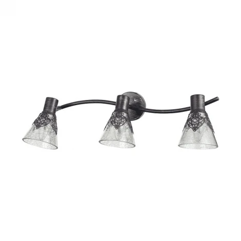 Спот Freya Donsia FR2345-WL-03-BR