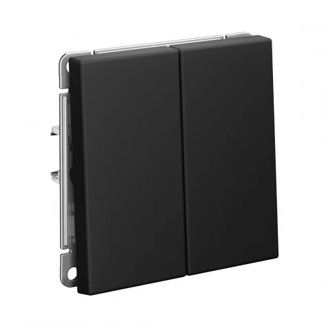 Выключатель двухклавишный (карбон) Systeme Electric GAL001017