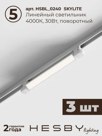 Трековая система в сборе встраиваемая однофазная 220V Hesby Lighting Skylite №5 HSBL_kompl_S005_VI4W4K