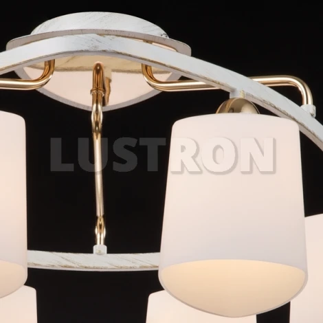 Потолочная люстра Maytoni Eurosize 6 TOC006-06-G