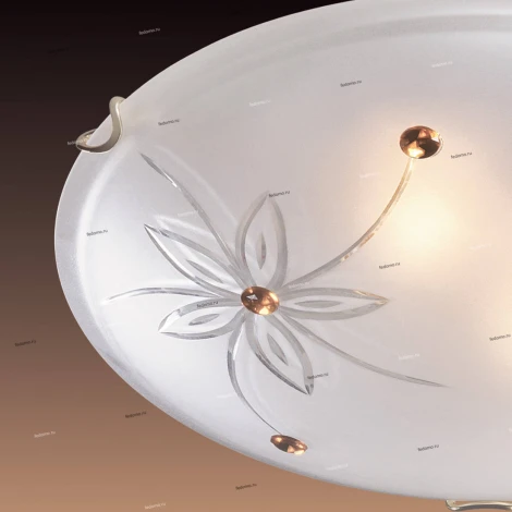 Настенно-потолочный светильник Sonex Floret 149/K