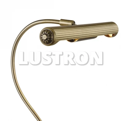 Интерьерная настольная лампа Arte Lamp Picture Lights Basic A5007LT-2AB