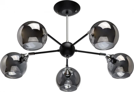 Потолочная люстра MW-Light Вита 220012205