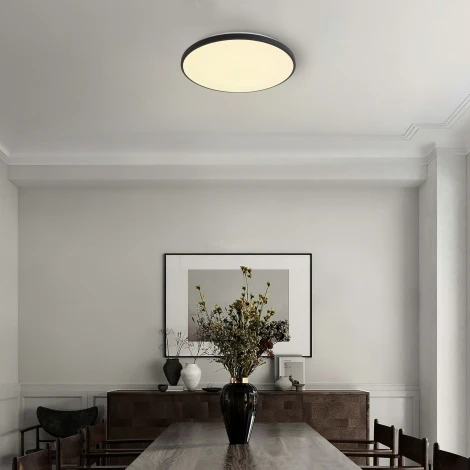 Потолочный светильник светодиодный Freya Obelle FR6211CL-L24B 24Вт LED