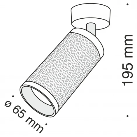Потолочный светильник Focus Design GU10 1x50Вт Maytoni Technical C034CL-01G (220V, круглые)
