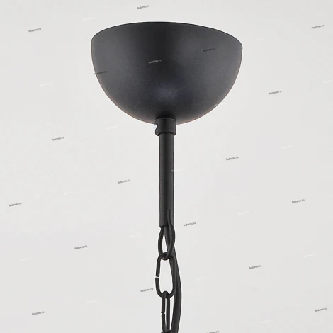 Подвесная люстра Alfa Abil Black Silver 22964