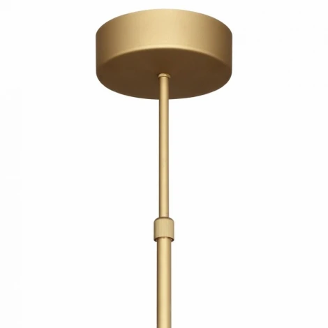 Потолочная люстра F-Promo Salvator 2501-6P