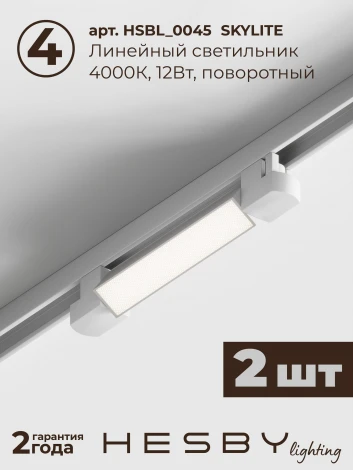 Трековая система в сборе накладная однофазная 220V Hesby Lighting №1 однофазная накладная Skylite HSBL_kompl_S001_NI1W4K