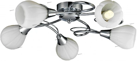 Потолочная люстра Lussole Abriola LSC-8303-05