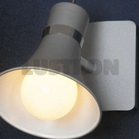 Спот Lussole Monterado LSL-7201-01