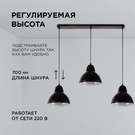 Подвесной светильник 3хЕ14 мах 40Вт металл черный (2019/3) Apeyron 16-68