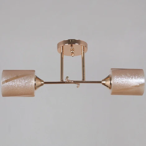 Подвесная люстра на штанге Reluce 51460-0.3-02 FG