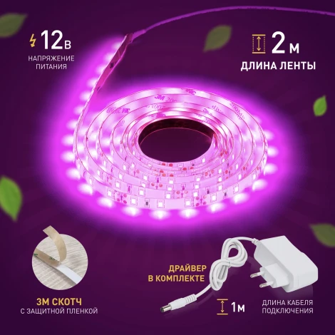 Светодиодная лента для растений 12V 2м ЭРА FITO-Strip Light-RB-2m