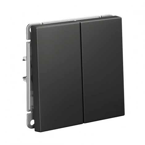Выключатель двухклавишный (базальт) Systeme Electric GAL001417