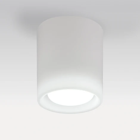 Накладной светильник Lightstar Solido E27 216626