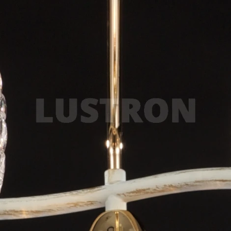 Потолочная люстра Maytoni Eurosize 8 TOC008-05-G