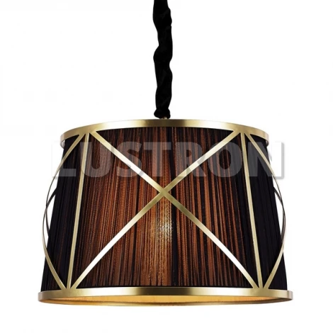 Подвесной светильник Arte Lamp Vitruvio A2805SP-1BK