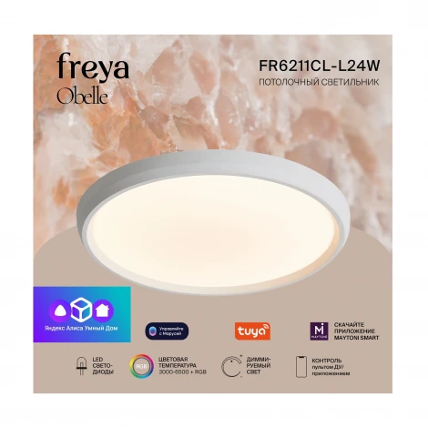 Потолочный светильник светодиодный Freya Obelle FR6211CL-L24W Obelle 24Вт LED