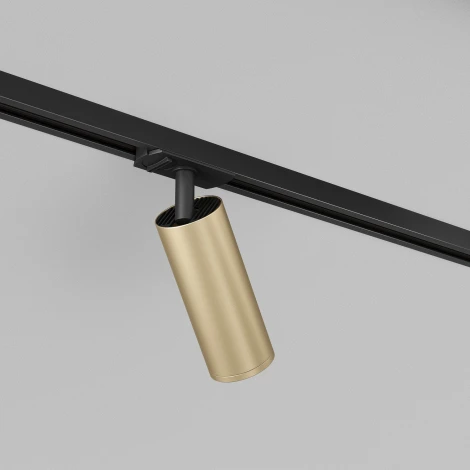 Трековый светильник Denkirs Tube DK6202-BG (220V)