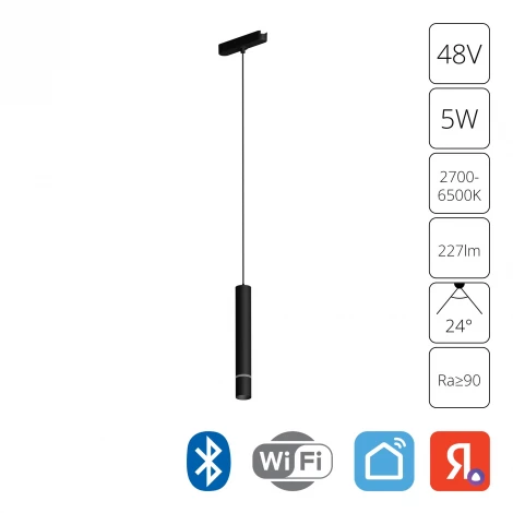 Магнитный трековый светильник 48V 5W Arte Lamp Rapid A2959PL-1BK (LED, управление смартфоном, умный дом - Алиса, Tuya Smart, круглые)