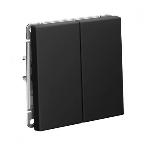 Переключатель двухклавишный (карбон) Systeme Electric GAL001065