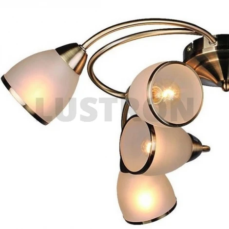 Потолочная люстра Omnilux Bassigny OML-35927-08