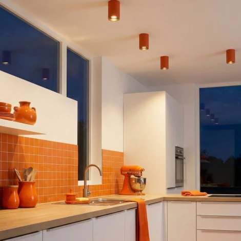 Потолочный светильник Citilux Axel CL512114 Терракот