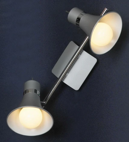 Спот Lussole Monterado LSL-7201-02