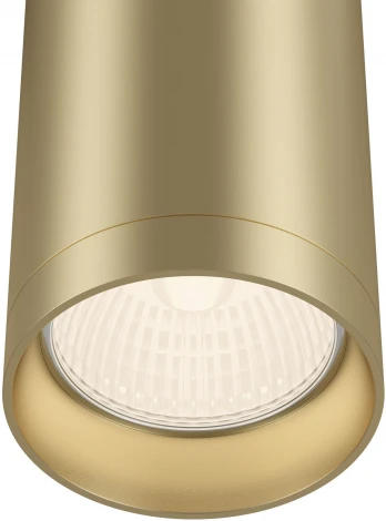Потолочный светильник Focus GU10 1x50Вт Maytoni Technical C010CL-01MG (220V, круглые)