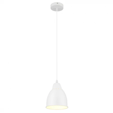Подвесной светильник Arte Lamp Braccio A2054SP-1WH