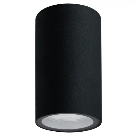 Потолочный уличный светильник Arte Lamp Mistero A3302PF-1BK