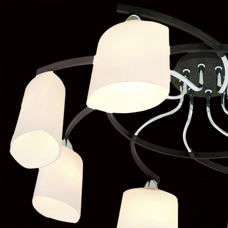 Потолочная люстра Citilux Taifun CL136181