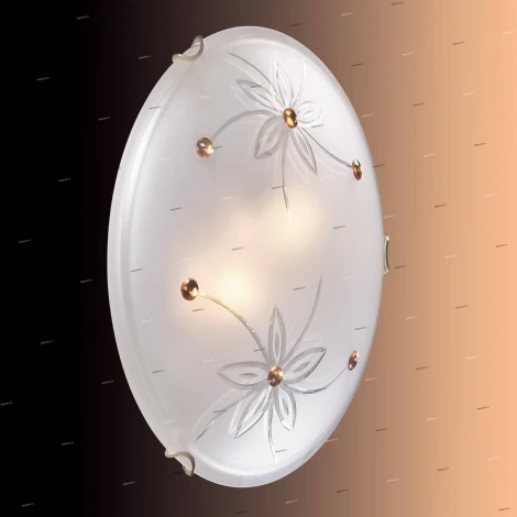 Настенно-потолочный светильник Sonex Floret 149/K