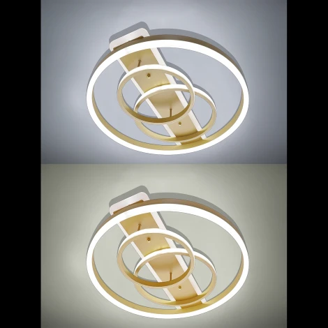Потолочная люстра Natali Kovaltseva LED LAMPS 81302