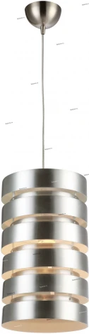 Подвесной светильник Arte Lamp Fetta A3017SP-1SS