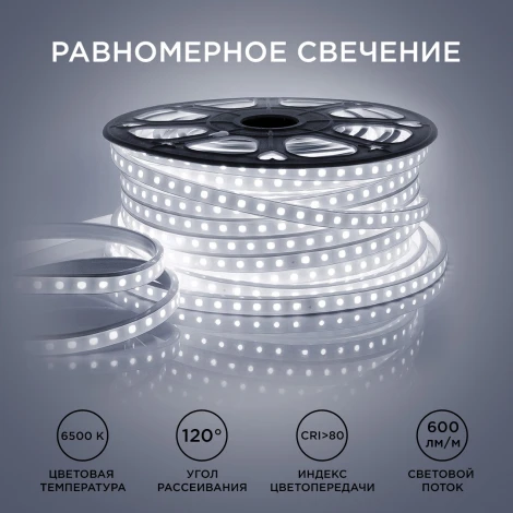 Светодиодная лента 220В СТ 6Вт/м SMD2835 60д/м IP65 600Лм/м 50м 6500К оболочка из белого ПВХ Apeyron 10-62