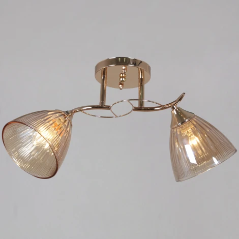 Подвесная люстра на штанге Reluce 02560-0.3-02 FG