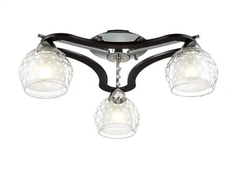 Потолочная люстра Lumion Ampolla 3081/3C