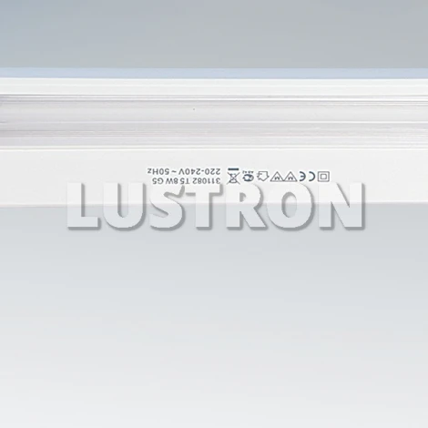 Точечный накладной линейный светильник с выключателем Lightstar TL2005 311082