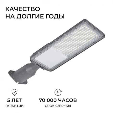 Уличный консольный светильник светодиодный с регулировкой наклона 100Вт 12000лм 5000К IP66 серый Apeyron 29-15