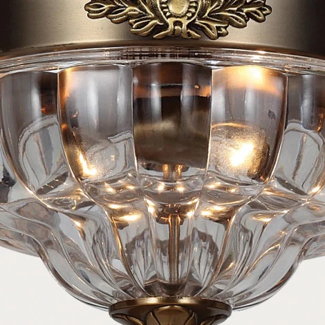 Потолочный светильник Favourite Amely 1306-2C