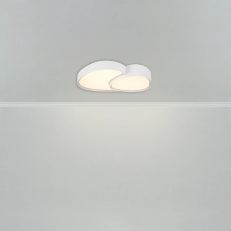 Потолочный светильник светодиодный Freya Modesty FR6079CL-L72W