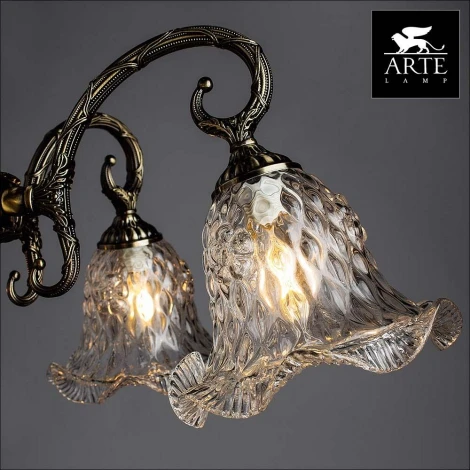 Подвесная люстра Arte Lamp Nuance A3902LM-5AB