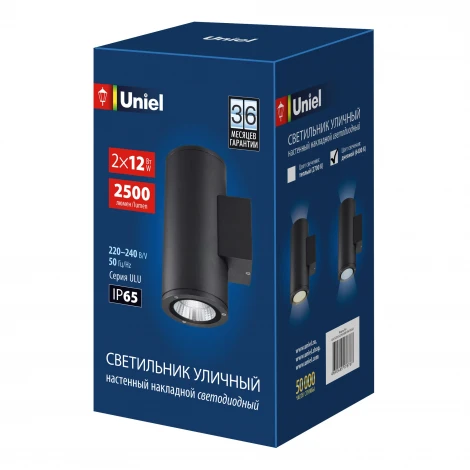 Архитектурная подсветка 6400K Uniel ULU-S22D-2x12W/6400K IP65 BLACK