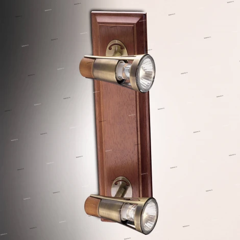 Спот Odeon Light Virsu 1972/2W