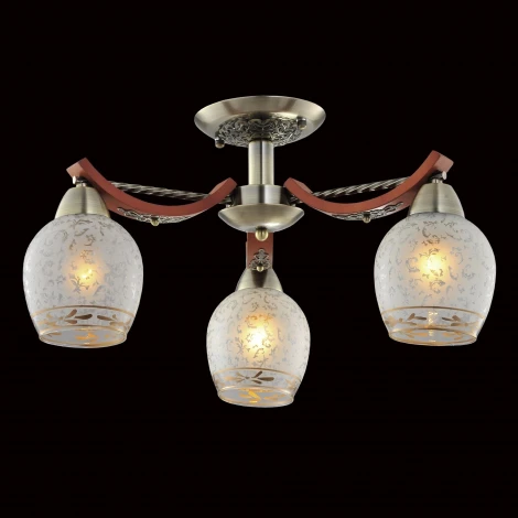 Потолочная люстра Citilux Vudi CL165133
