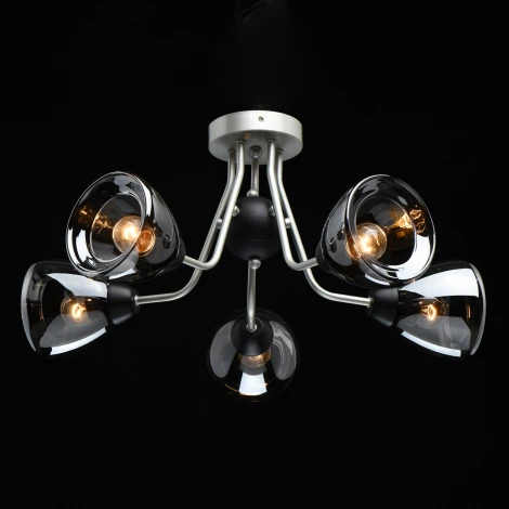 Потолочная люстра MW-Light Вита 220012605